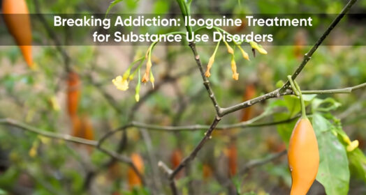 Breaking Addiction Ibogaine Treatment
